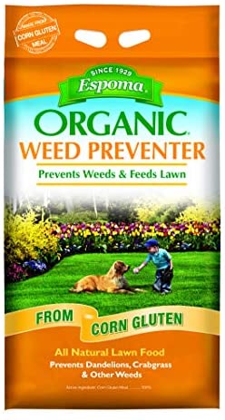 4 Best Dandelion Killer in 2026